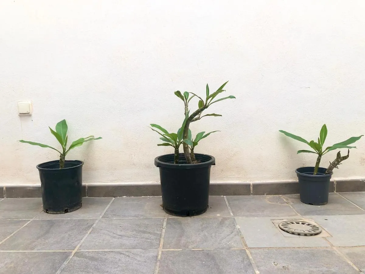 Varela Apartamentos B Μάλαγα 0*,